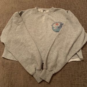 Brandy Melville Cropped Sweatshirt